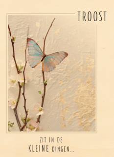 kerst troost zit in de kleine dingen