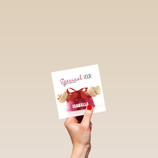 dierendag speciaal voor jou