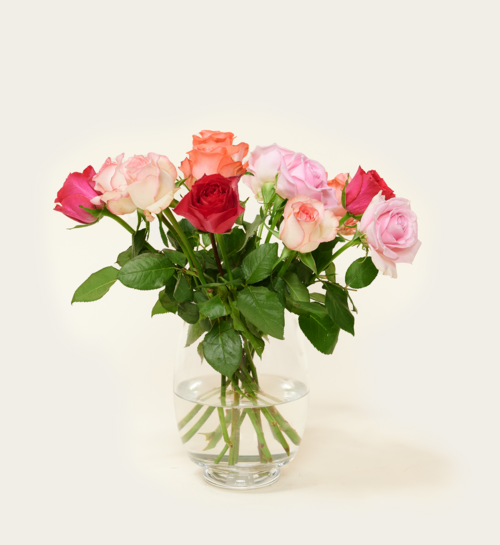 Brievenbusbloemen Rozen Pretty Pink