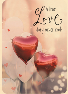 a true love story never ends