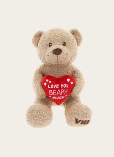 Teddybeer I Love You Beary Much
