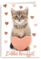 Liefde kaart kat met hart en dikke knuffel