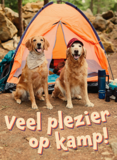Op kamp kaart 2 honden bij tent Op kamp kaart 2 honden bij tent