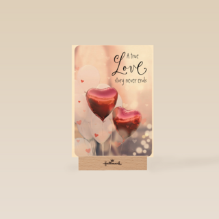 a true love story never ends