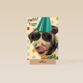 hoera feest hond met zonnebril