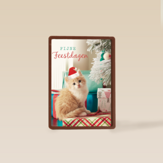 kerstkaart fijne feestdagen feest