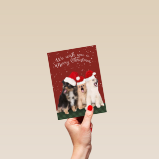 Kerstmis Honden Met Kerstmuts