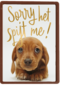 verjaardag te laat sorry het spijt me puppy