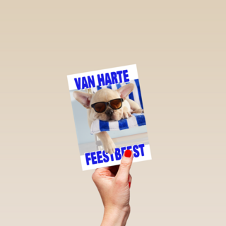 Verjaardag Feestbeest Hond