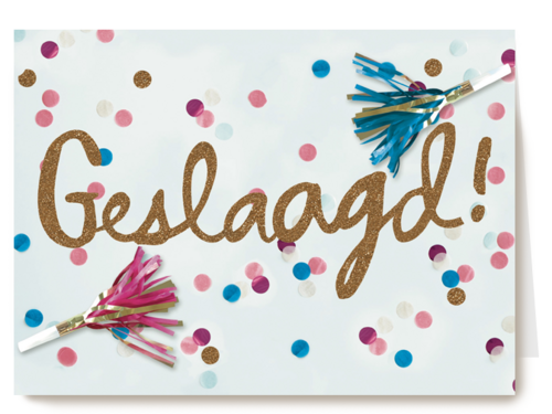 examen geslaagd geslaagd geslaagd