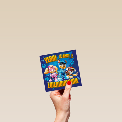 paw patrol zwemdiploma kaart