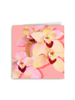 Blanco kaart orchidee