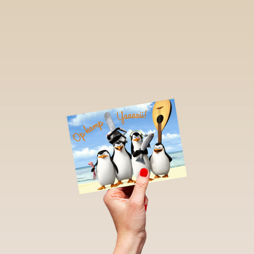 Op kamp yaai Penguins