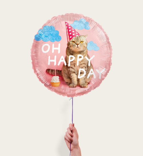 Ballon Cat Oh Happy Day Multi