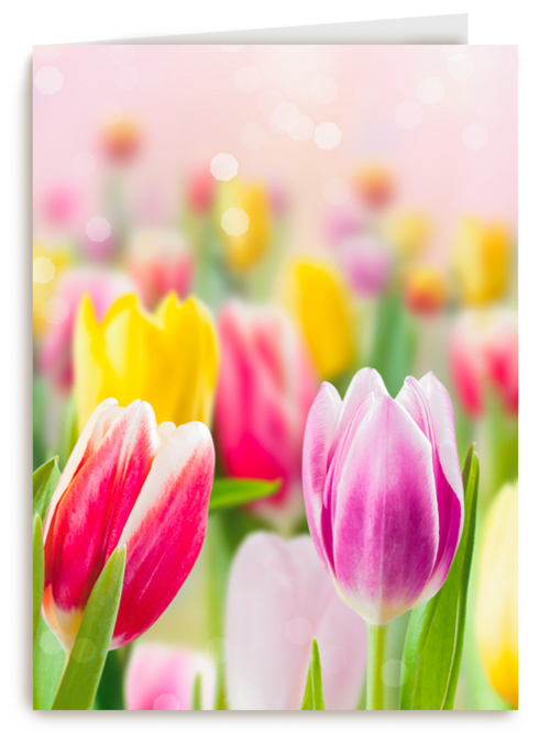 lente kaart tulpen voorjaar