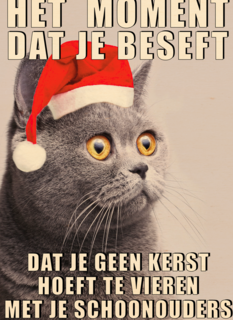 Kerstkaart Grappig Geen kerst met je schoonouders