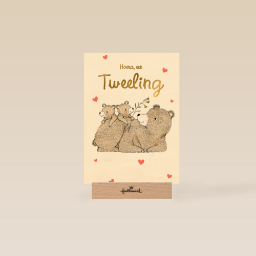 Tweeling geboortefelicitatie 2 lieve beertjes