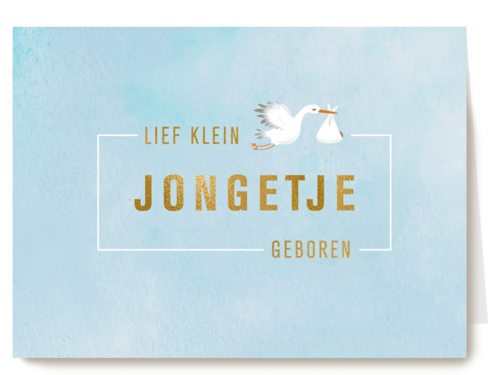 Babykaart zoon Ooievaar Een klein jongetje geboren