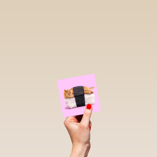 sushi kat