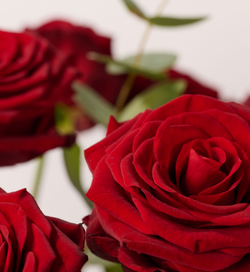 Boeket Bloemen Rode Rozen Luxe
