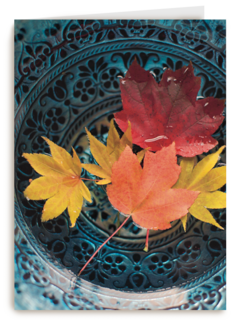 herfst kaart herfstbladeren