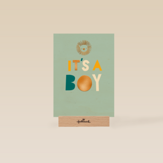 Leeuw it is a boy