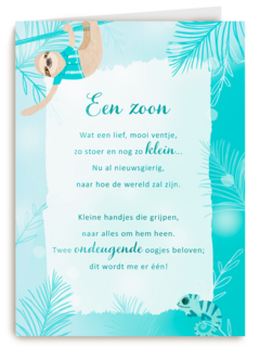 Babykaart zoon More than words