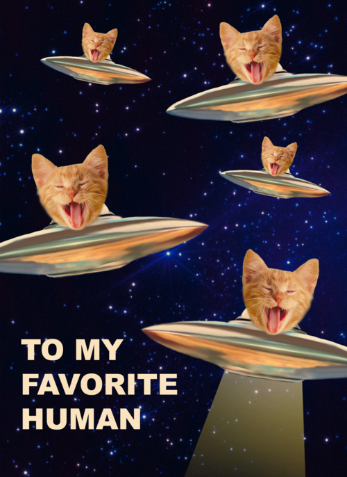 To my favorite human