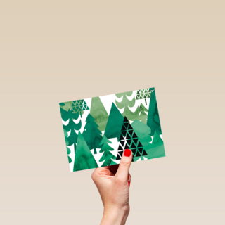 forest full of trees