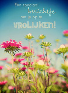 bloemenveld om je op te vrolijken