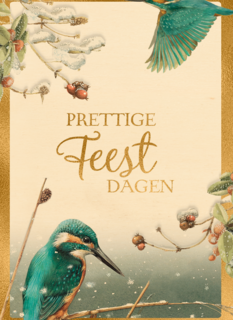 Kerstkaart marjolein bastin ijsvogel