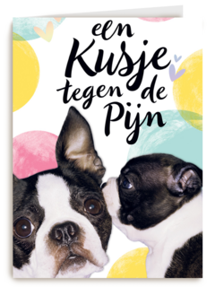 Beterschapskaart Hond Een kusje tegen de pijn