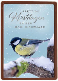 Kerstkaart vogel op tak winter