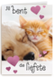 Valentijn Jij bent de liefste hond kat