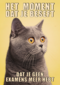 Geslaagd kaart Kat grappig