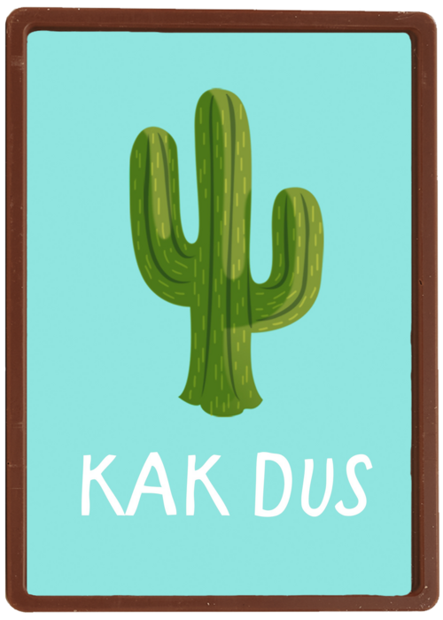Beterschapskaart grappig Kak dus gezakt