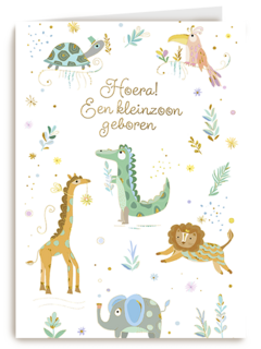 Turnowsky Hoera Kleinzoon geboren