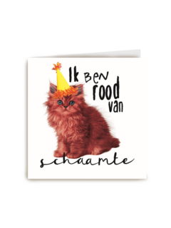 verjaardag te laat schaamte