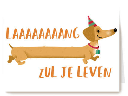 laaaaaang zul je leven