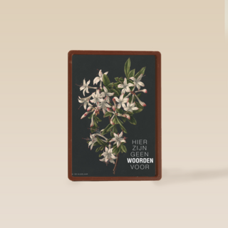 hier zijn geen woorden voor bloemen