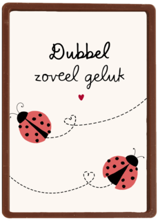 geboorte meerling dubbel zoveel geluk
