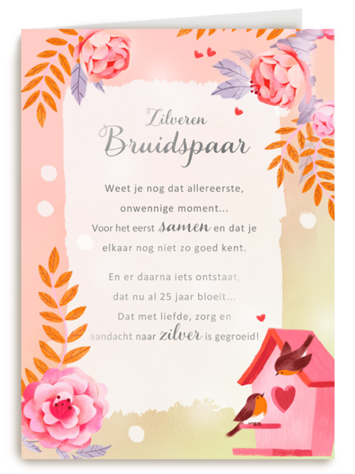 Huwelijksjubileum Zilveren bruidspaar More than Words