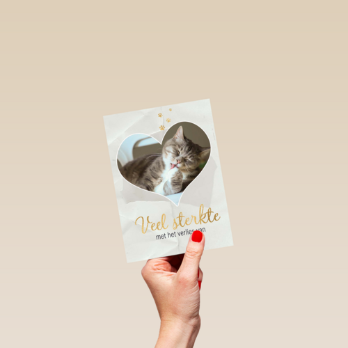 Fotokaart veel sterkte met verlies kat
