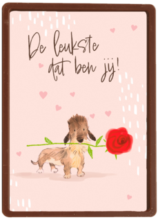 De leukste dat ben jij   hond