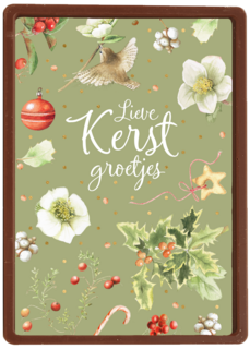 kerstkaart marjolein bastin lieve kerst groetjes vogeltje