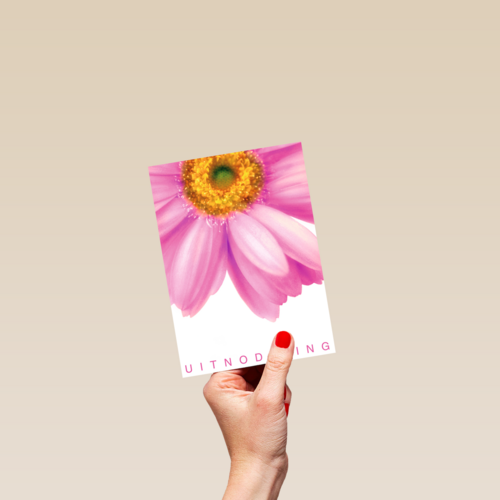 grote roze gerbera