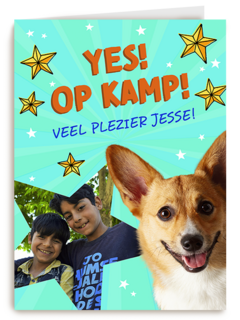 Op kamp corgi