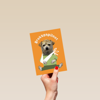Brokken Piloot Hond