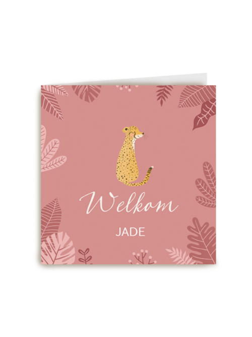 geboorte dochter cheetah welkom