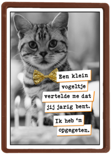 Vogel Poes  verjaardag